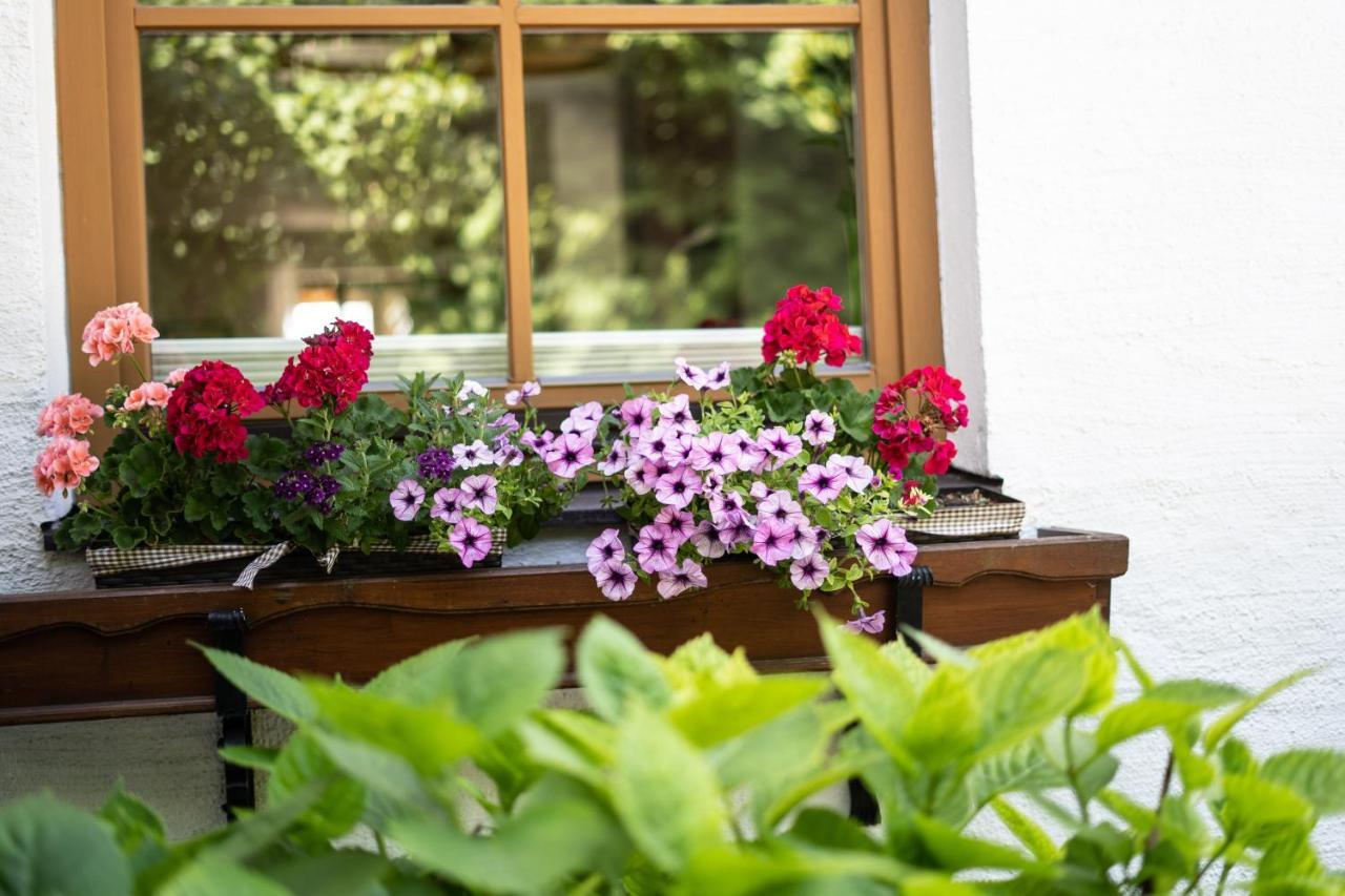 Apartment Salzburg City&Lake Elixhausen Dış mekan fotoğraf